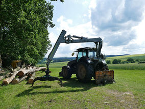 Rodung am Weingarten (Foto: Karl-Franz Thiede)